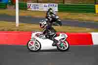 White Bikes